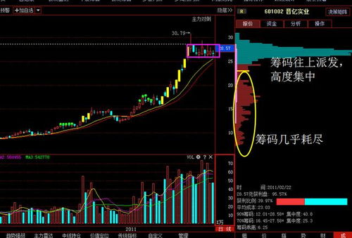 TP钱包怎么看K线_tp钱包怎么看k线_tp钱包如何看k线