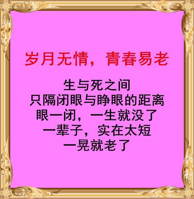 句易_句易网文字检测在线_句易网文字检测官网