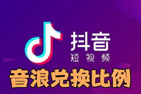 抖音音浪兑换人民币比例_人民币抖币音浪_抖音100万音浪大概多少人民币