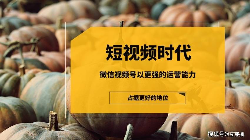 微信视频号点赞会被所有朋友看到吗_微信视频号点赞会被所有朋友看到吗_微信视频号点赞会被所有朋友看到吗