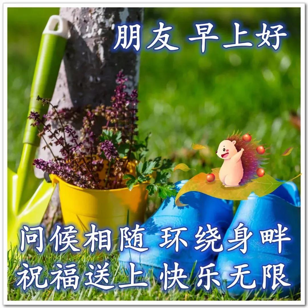 发朋友圈老是变成一行字_朋友圈圈子_老圈变成发字朋友是什么心理