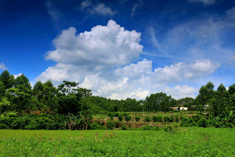 夏季风景图片大全大自然_夏季风景图片大全高清图片_夏季图片风景