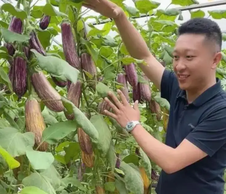 虎牙钱包_虎牙超管一个月多少钱_虎牙厅管