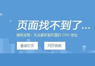 网络dns劫持怎么解决_dns劫持wifi_网络dns劫持是什么意思