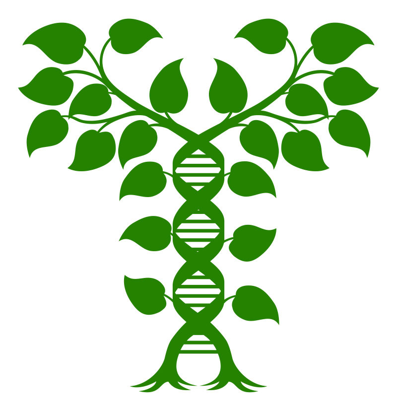 设计dna官网_设计dna接单平台下载_设计dna