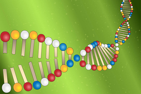 设计dna官网_设计dna接单平台下载_设计dna