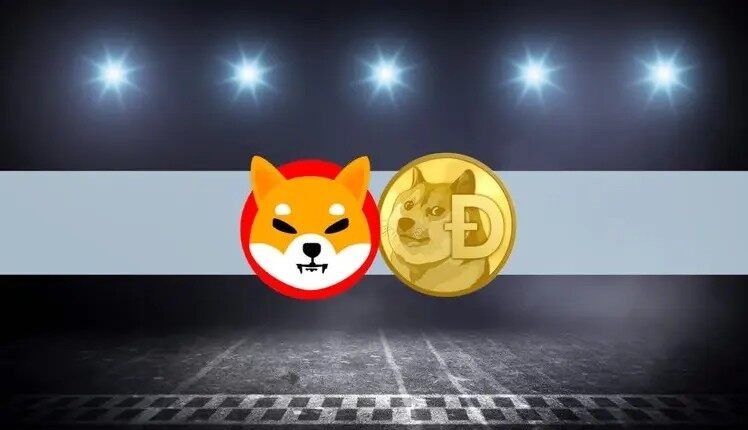 tp钱包狗狗币_狗狗币钱包dogecoin_狗狗币钱包安装教程