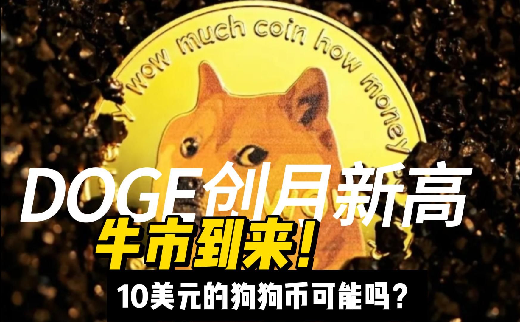 tp钱包狗狗币_狗狗币钱包安装教程_狗狗币钱包dogecoin