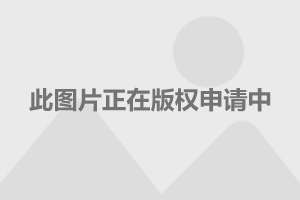 外链工具软件_外链工具_商加加外链工具